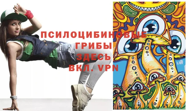 spice Лагань
