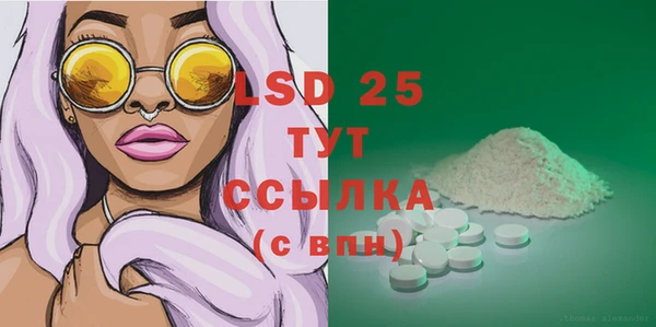 spice Лагань