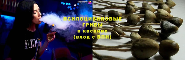 гидропоника Лабытнанги