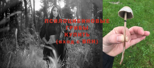 гидропоника Лабытнанги