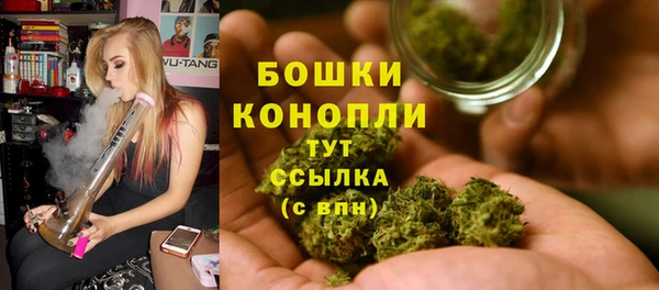 spice Лагань