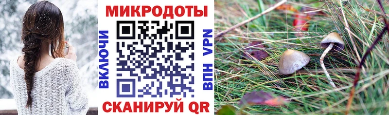 кракен маркетплейс  Электрогорск  Псилоцибиновые грибы прущие грибы  закладки 