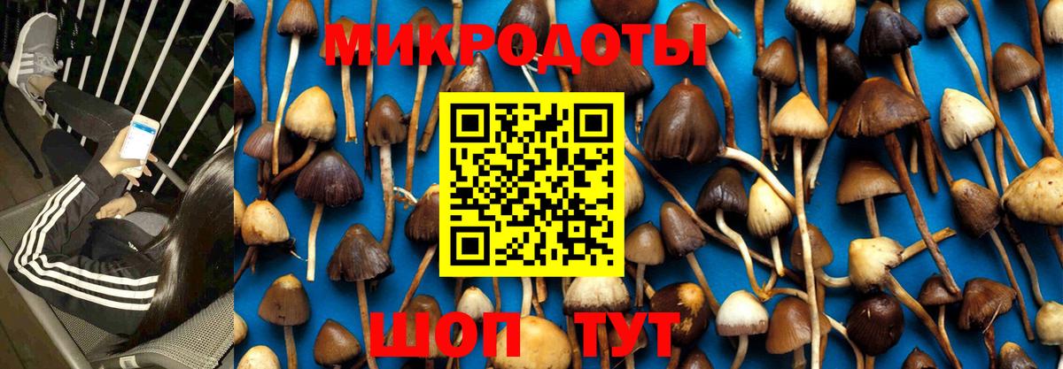 Электрогорск  Галлюциногенные грибы Psilocybe  Вход с VPN 